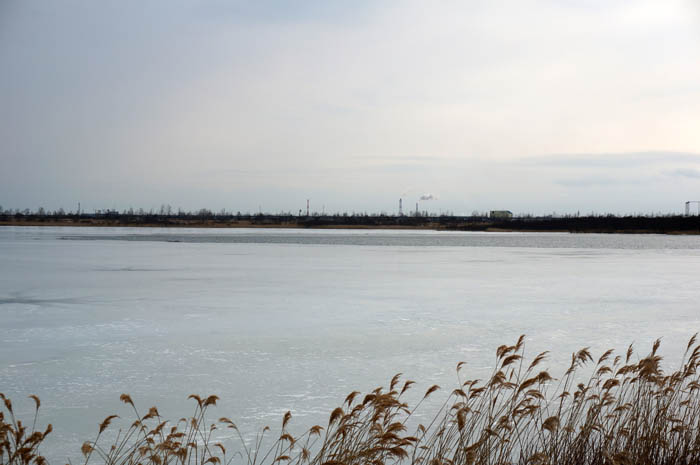 凍結したウトナイ湖