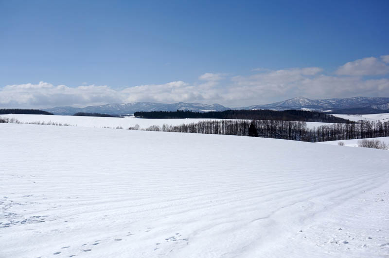雪の美瑛の丘