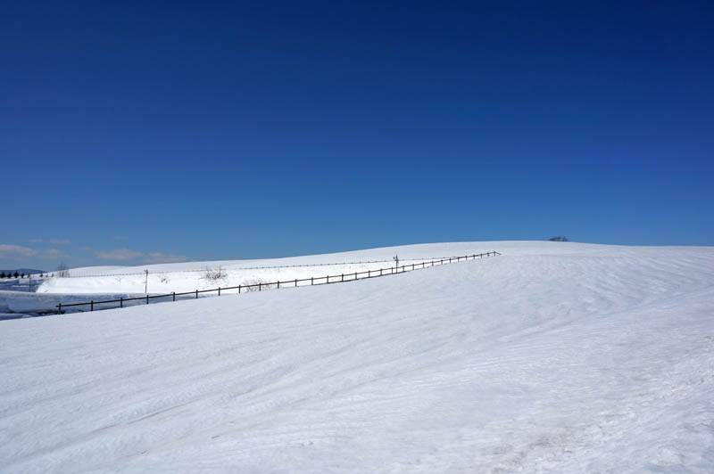 雪の美瑛の牧場