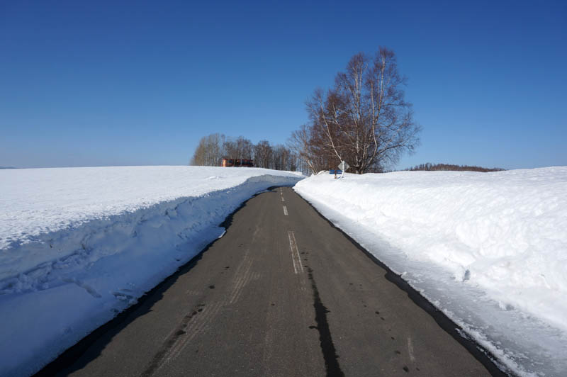 雪の美瑛の道