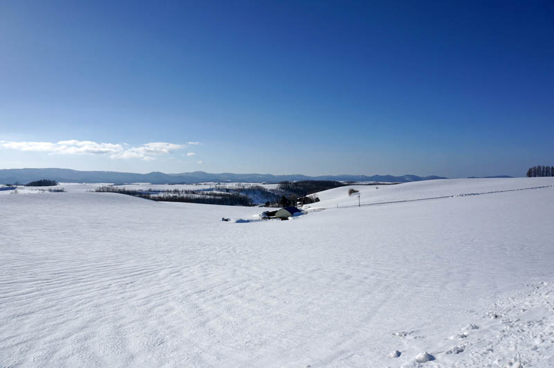 雪の新栄の丘
