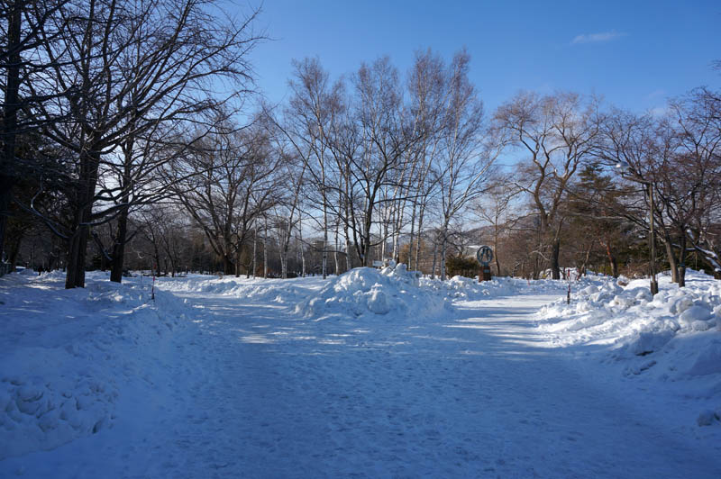 冬の中島公園