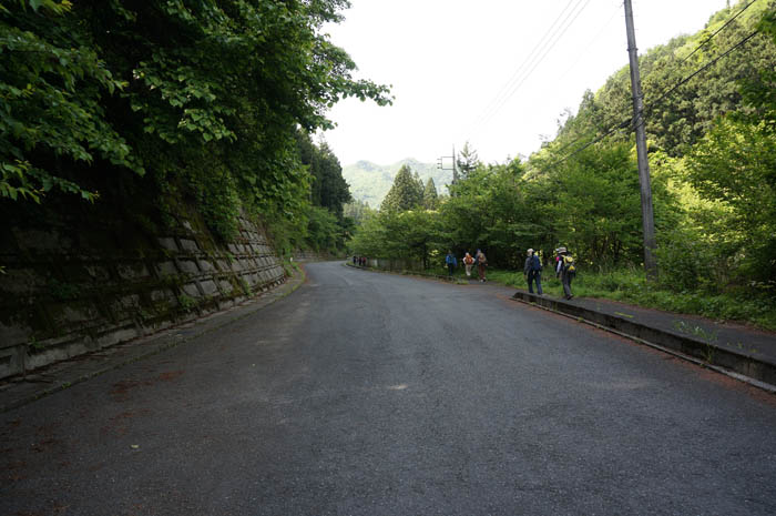 武甲山への道