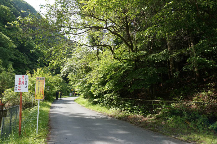 武甲山への道