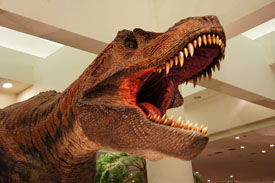 愛媛県総合科学博物館恐竜