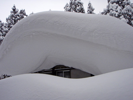 雪の大神山神社参道