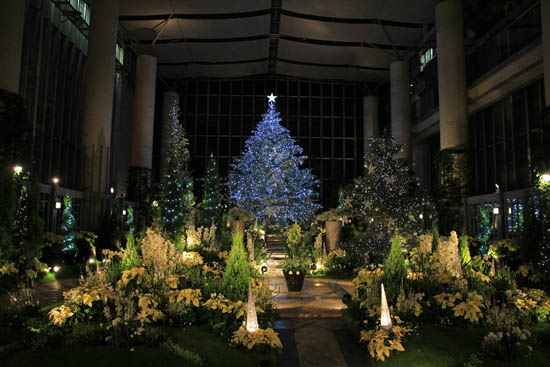 奇跡の星の植物館のクリスマス