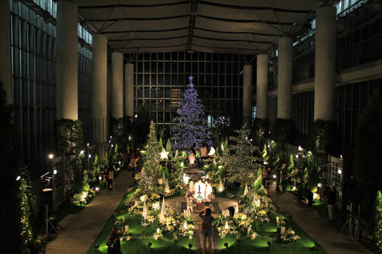 奇跡の星の植物館クリスマスイベント