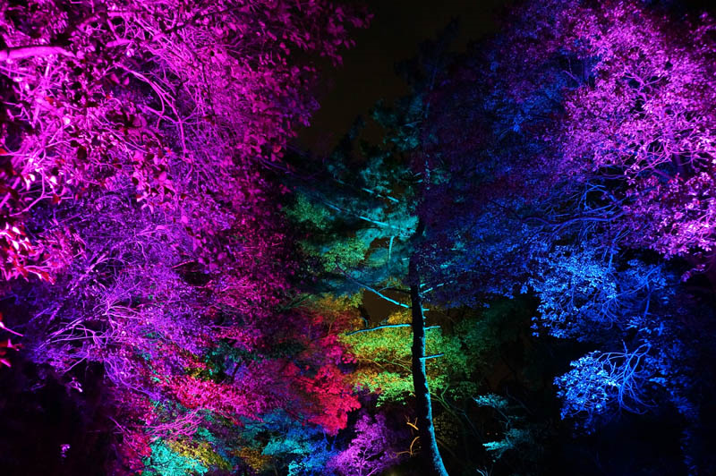 須磨浦公園ライトアップ