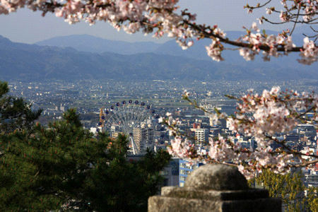 桜の松山城からの眺望