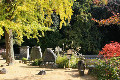 宝厳寺の庭