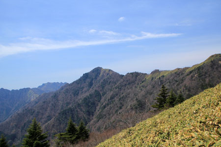 笹ヶ峰南側登山道