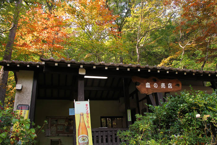 神戸市立森林植物園森の売店