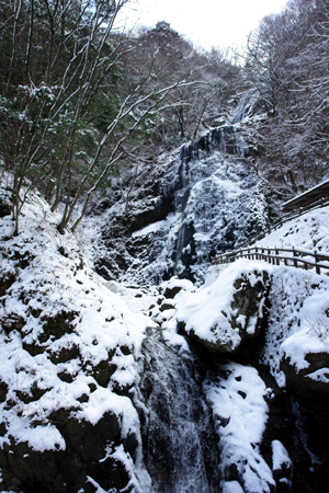 冬の白猪の滝
