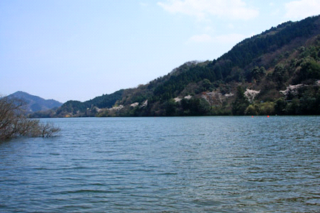 春の玉川湖