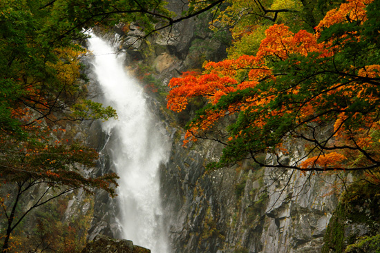 紅葉の御来光の滝