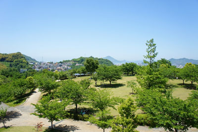 松山総合公園さくらの丘