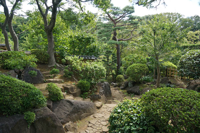等々力渓谷日本庭園