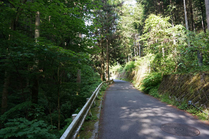 和田峠への車道