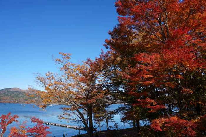 紅葉の山中湖