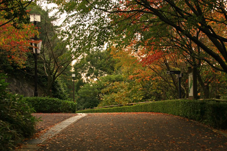 秋の松山総合公園