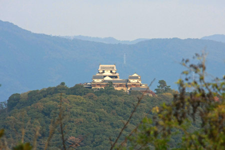 松山総合公園から見る松山城