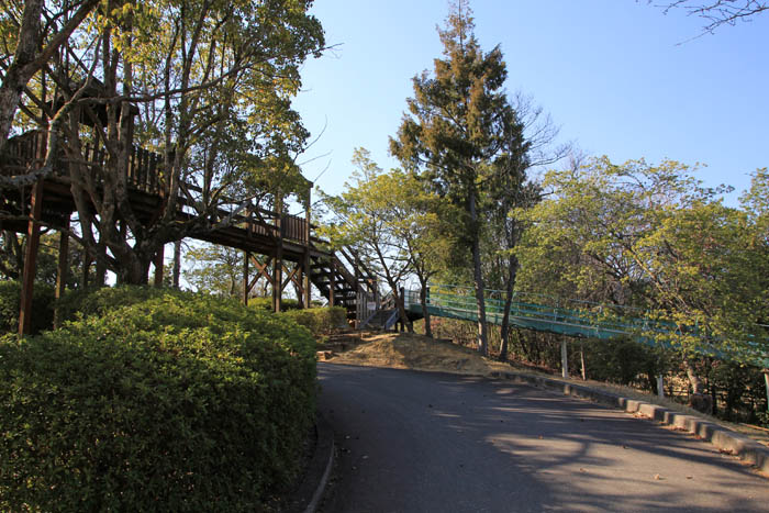 播磨中央公園ローラー滑り台