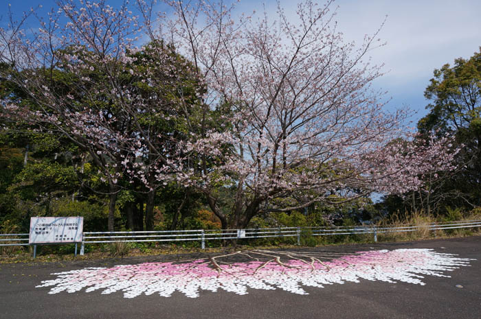 南阿波サンライン桜の映えスポット