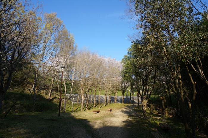 春の奥須磨公園