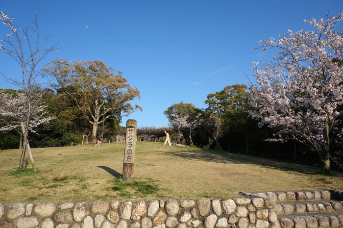 奥須磨公園サクラの丘