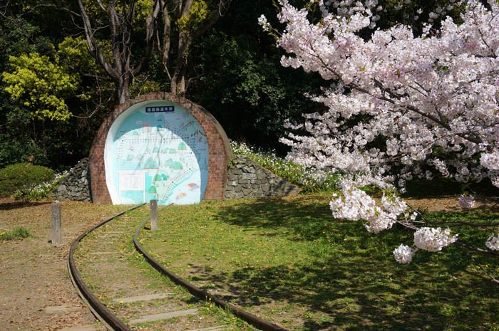 春の徳島中央公園