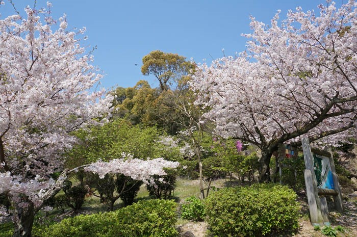 春の須磨浦公園