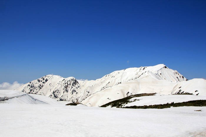 雪の奥大日岳と大日岳
