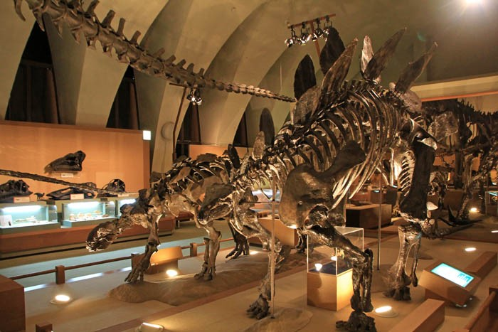 東海大学海自然史博物館の恐竜