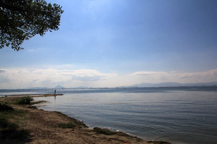 坂本城と琵琶湖