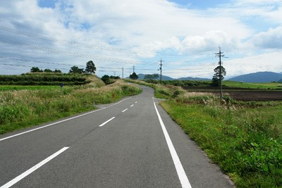蒜山高原の道