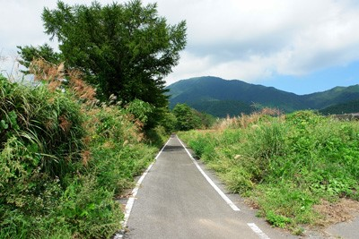 蒜山高原サイクリングコース
