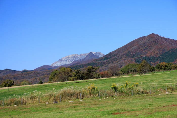紅葉の蒜山高原と大山