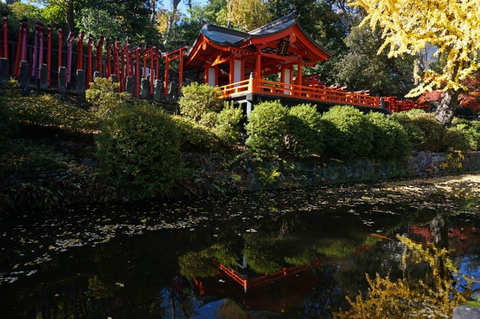 秋の乙女稲荷神社