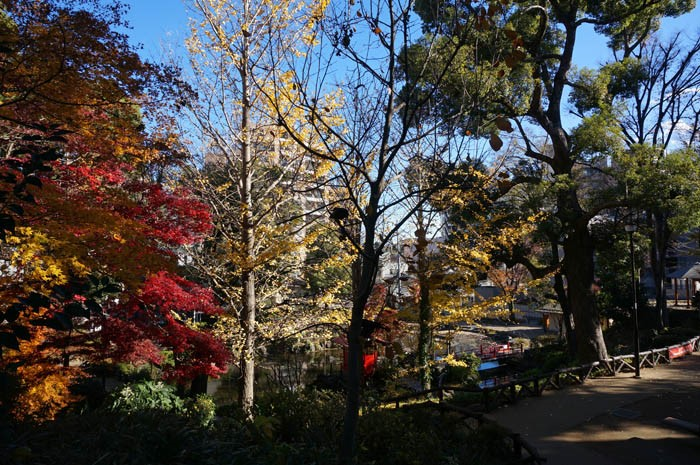 紅葉の須藤公園