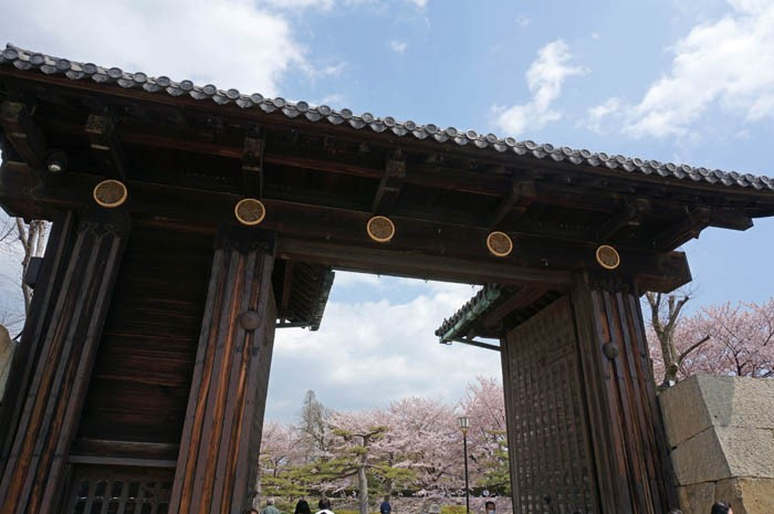 桜の姫路城大手門