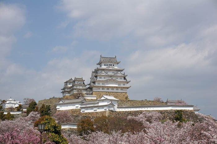 桜の姫路城天守閣