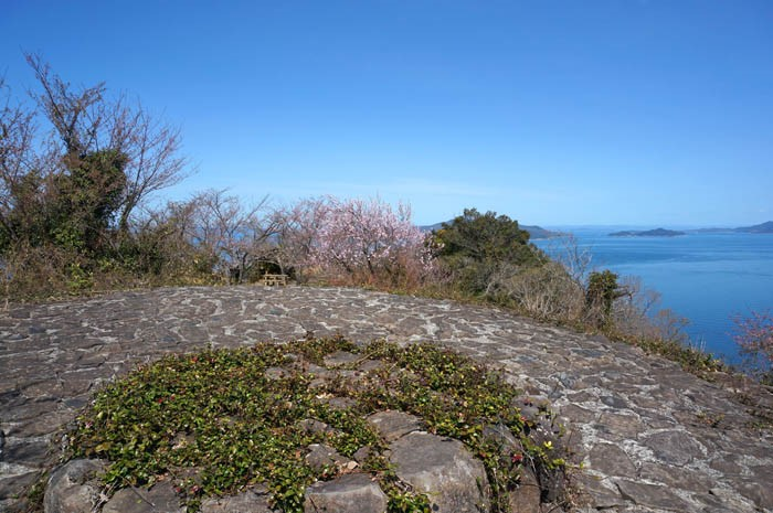 女木島頂上園地と桜