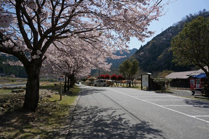桜の南光自然観察村