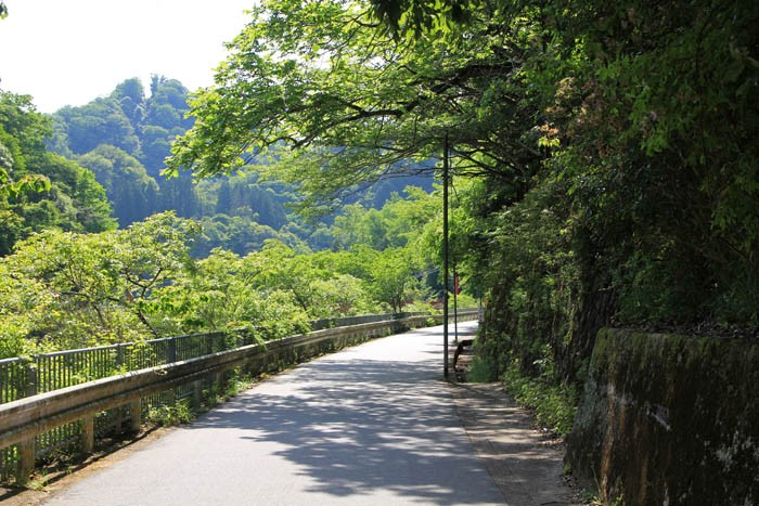 武田尾温泉への道