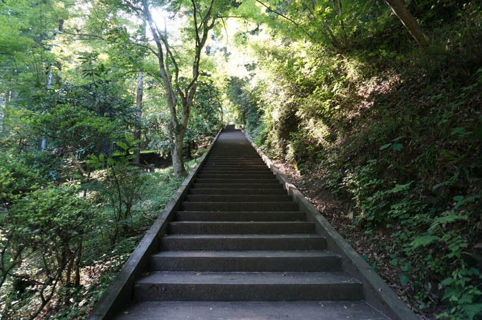 東郷公園階段