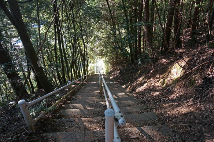 黒井城急坂コース階段