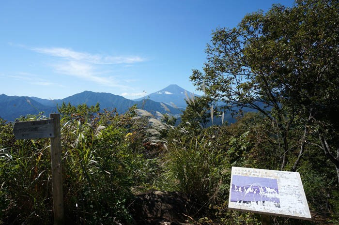 高川山頂上からの富士山