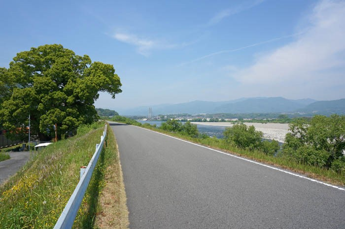 吉野川サイクリング