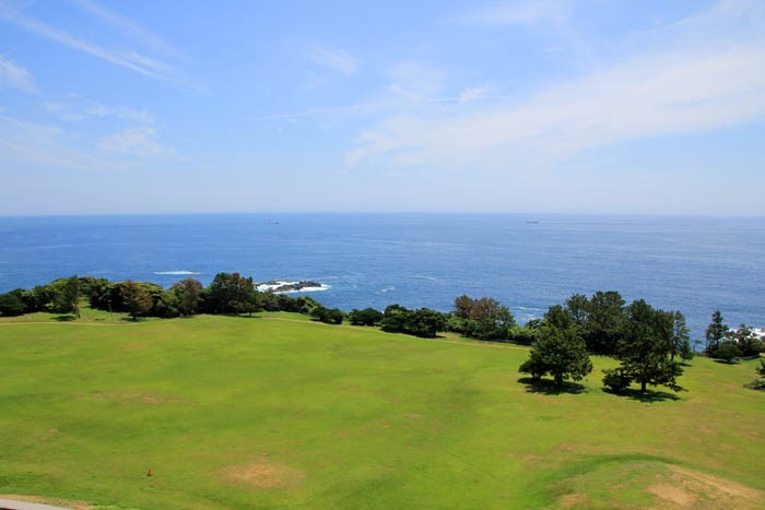 潮岬観光タワーからの望楼の芝